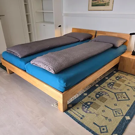 Paradiso By Holap Sa Ronco sopra Ascona